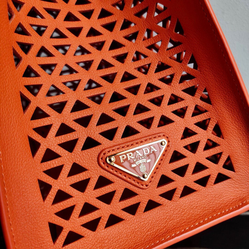 Luxurious Totes - Latest - 4720