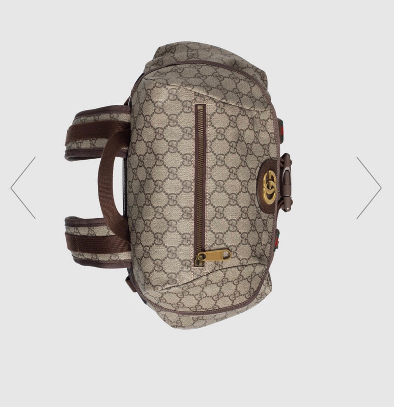GUI - Luxurious Totes - 211
