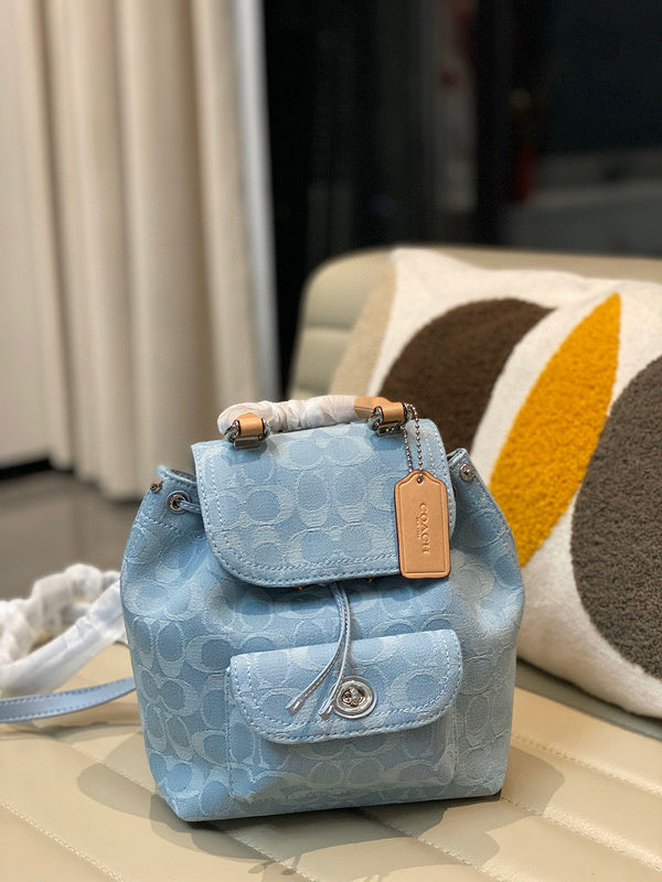 Luxurious-Totes - CCH Bags - 011