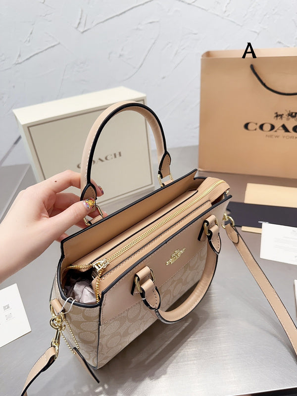 Luxurious Totes - CCH2 Bags - 055