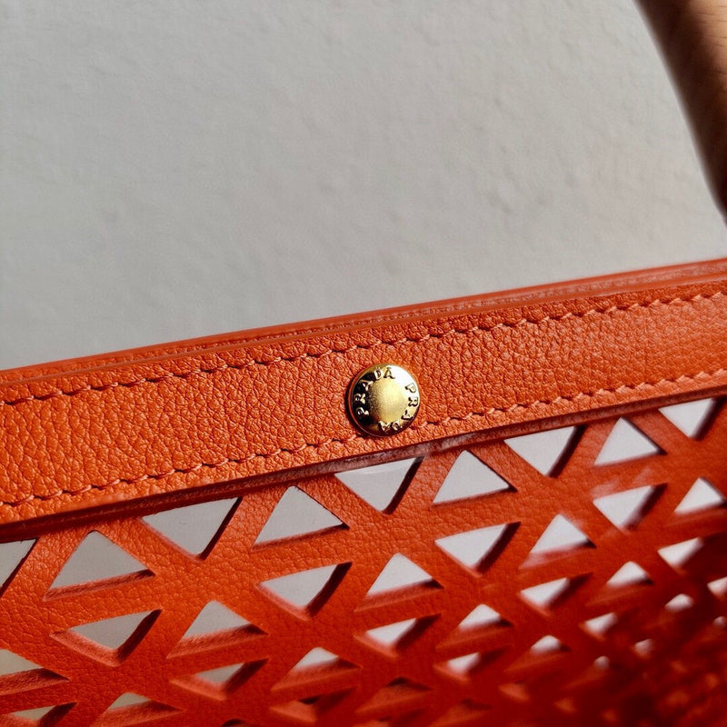 Luxurious Totes - Latest - 4720