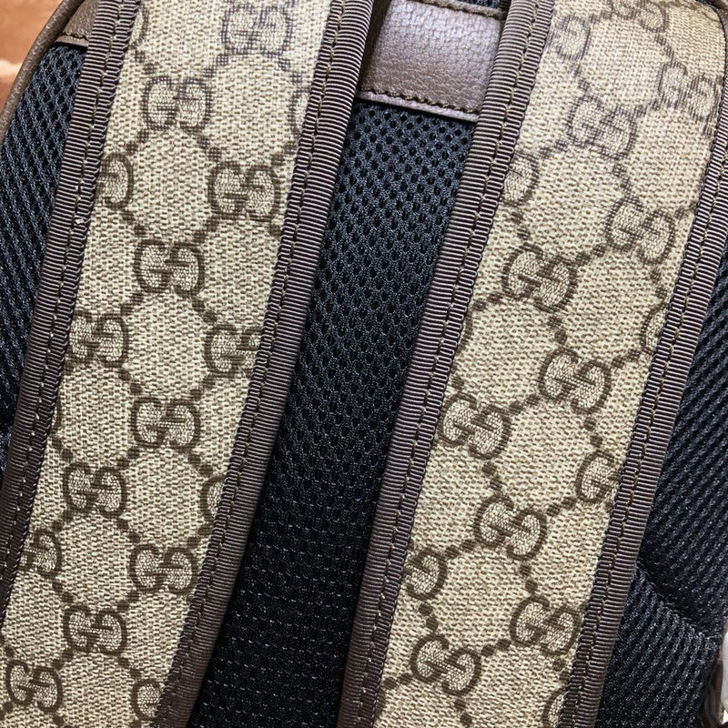 GUI - Luxurious Totes - 443
