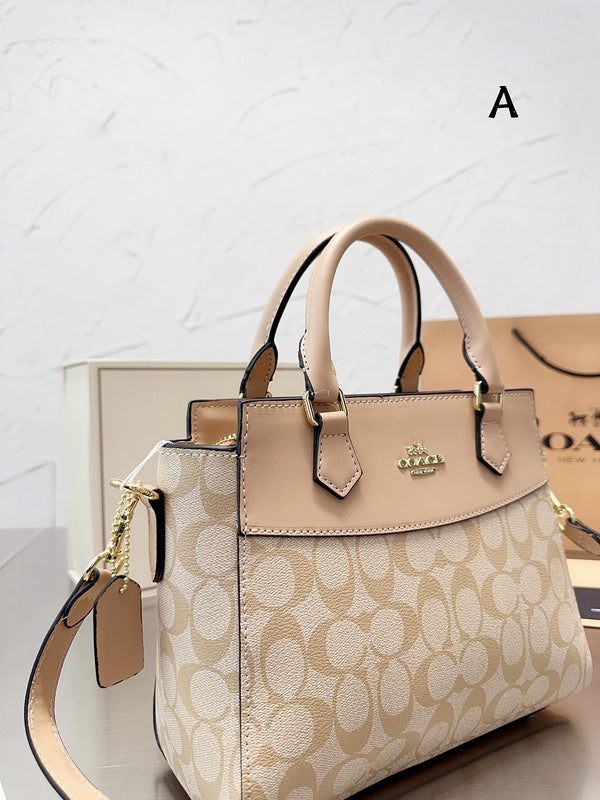 Luxurious Totes - CCH2 Bags - 055