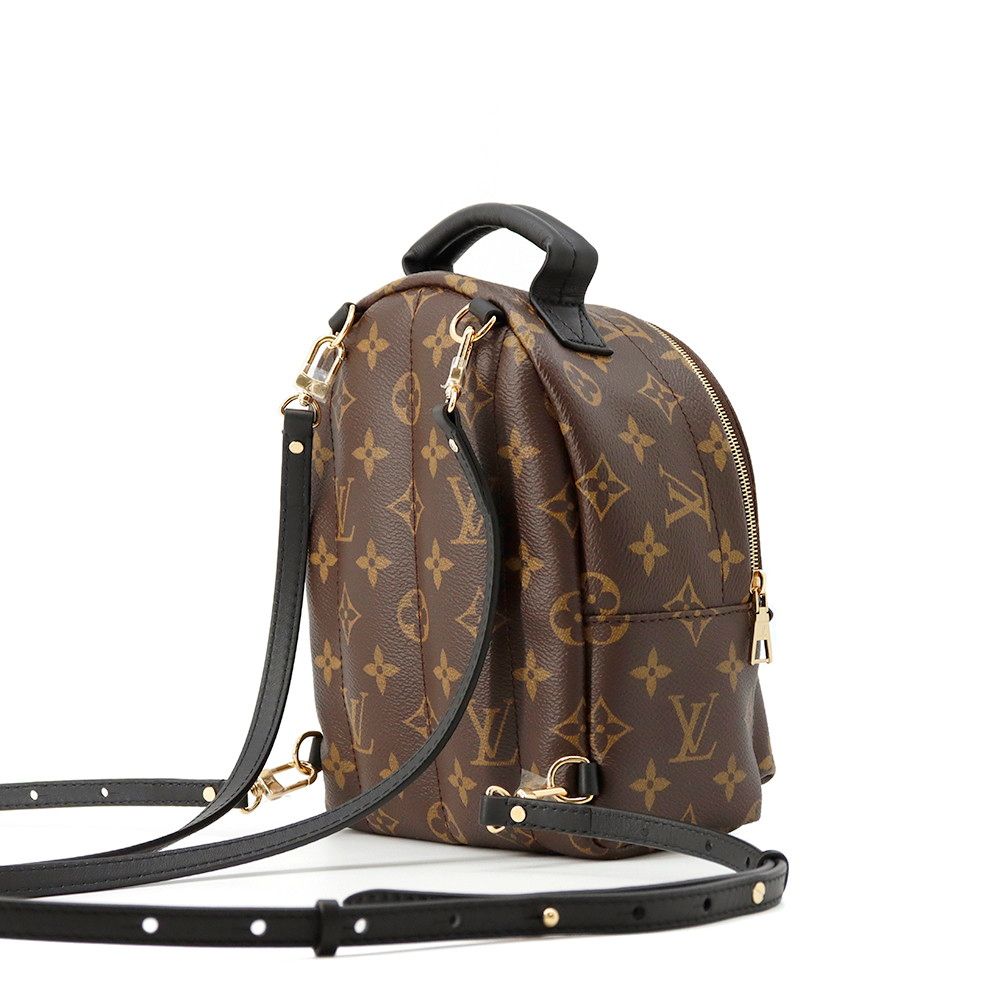 Louis Vuitton Monogram Palm Springs Backpack Mini Bag