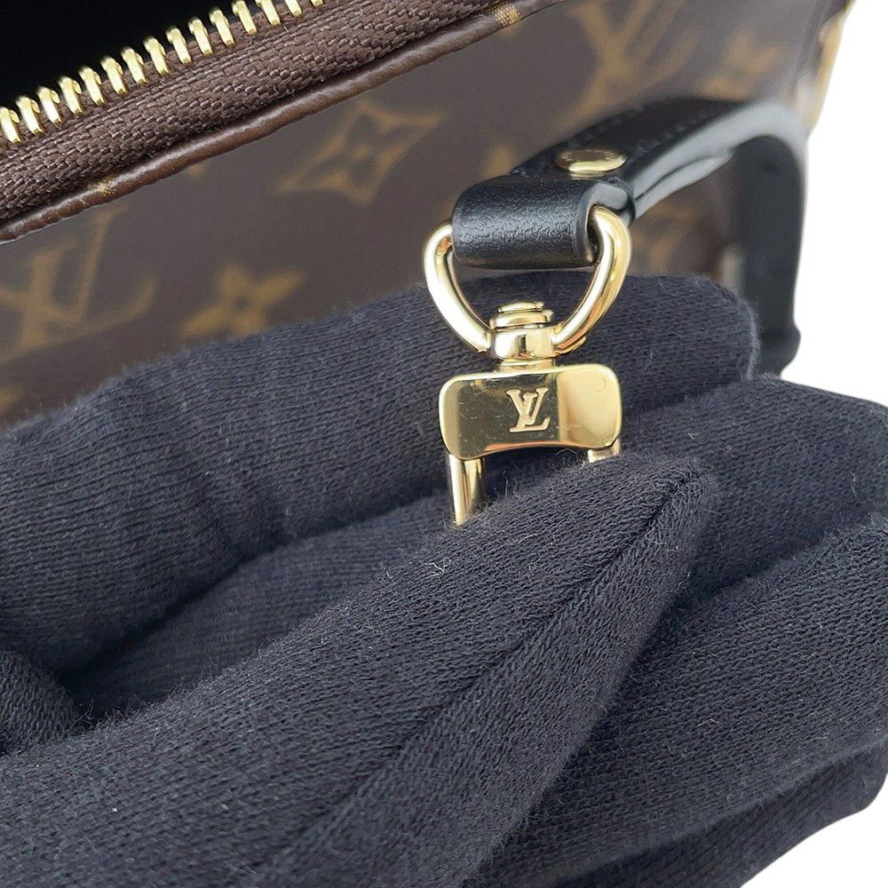 Louis Vuitton Monogram Palm Springs Backpack Mini Bag
