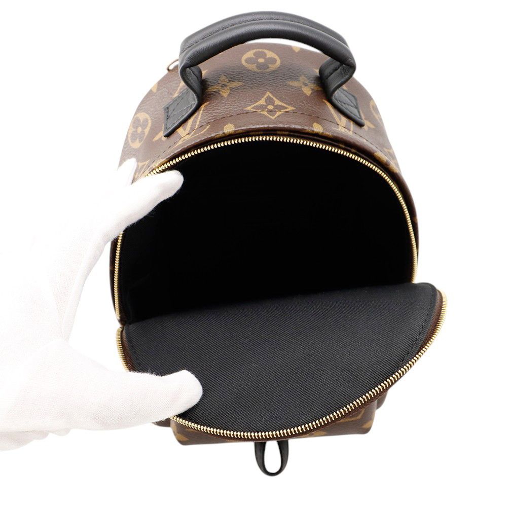 Louis Vuitton Monogram Palm Springs Backpack Mini Bag