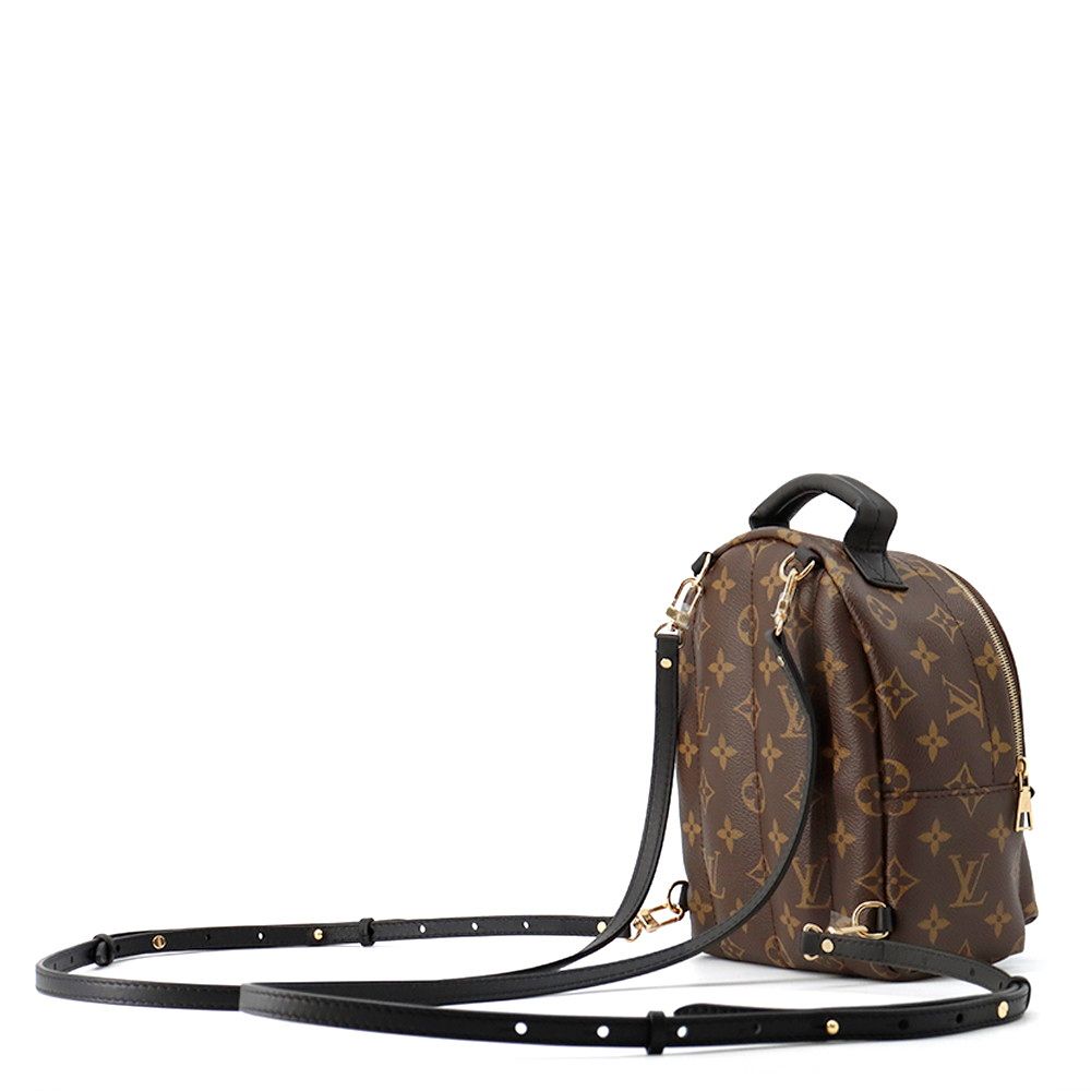Louis Vuitton Monogram Palm Springs Backpack Mini Bag