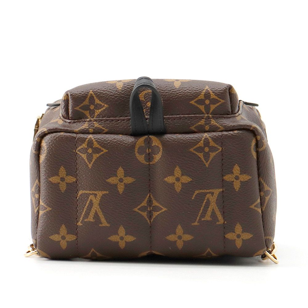 Louis Vuitton Monogram Palm Springs Backpack Mini Bag