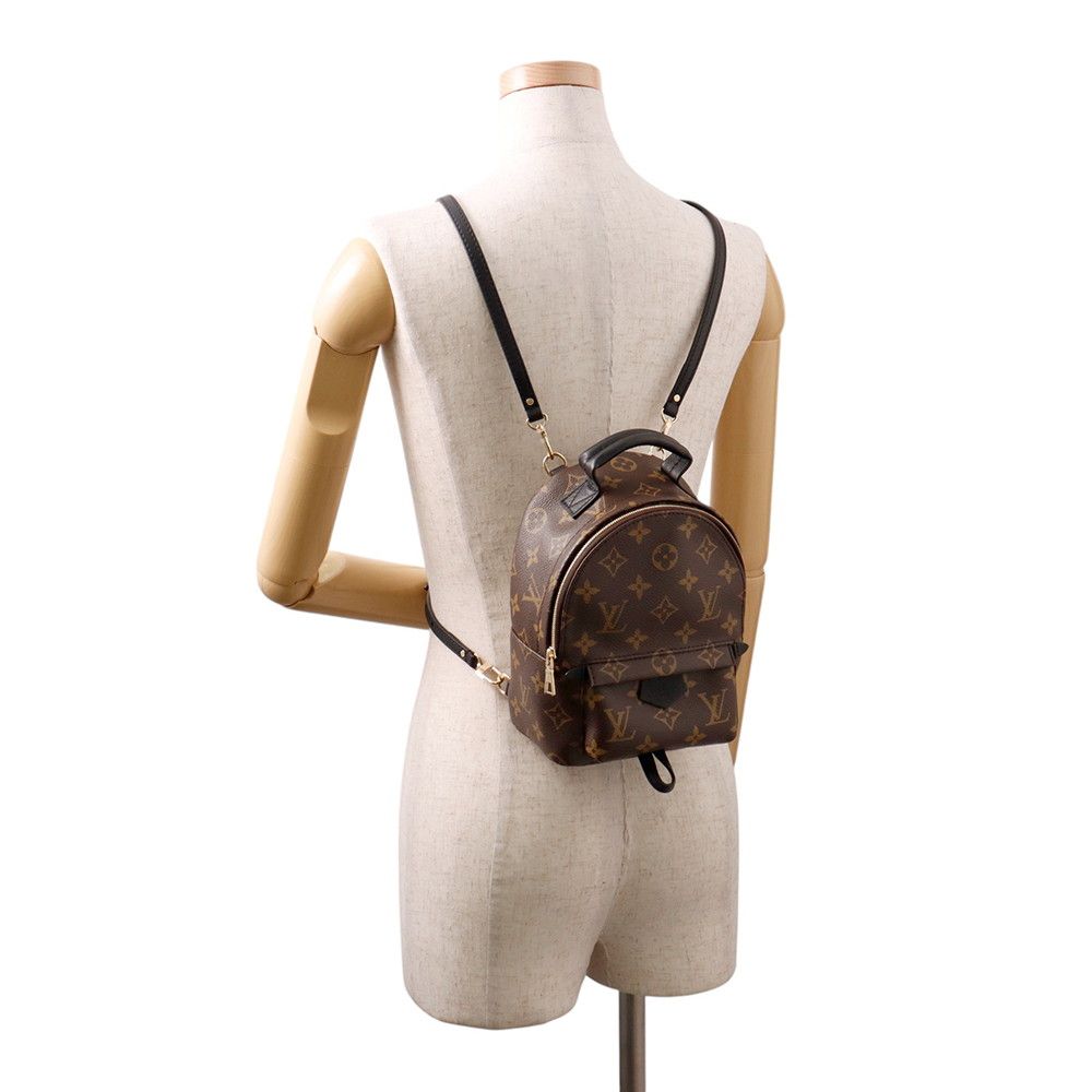 Louis Vuitton Monogram Palm Springs Backpack Mini Bag