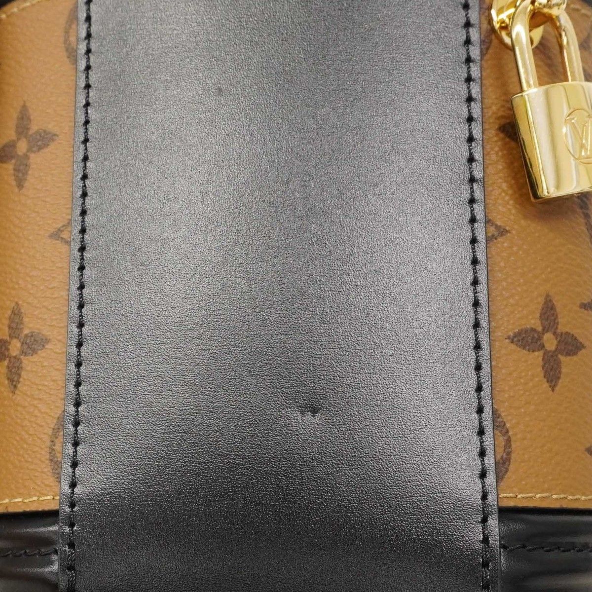 Louis Vuitton Handbag Monogram Reverse Cannes Brown 2-Way Bag