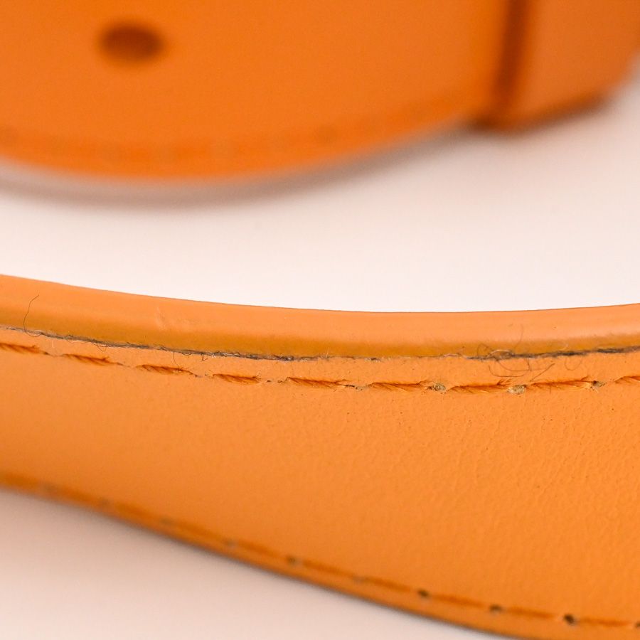 Louis Vuitton Belt Bag Outdoor