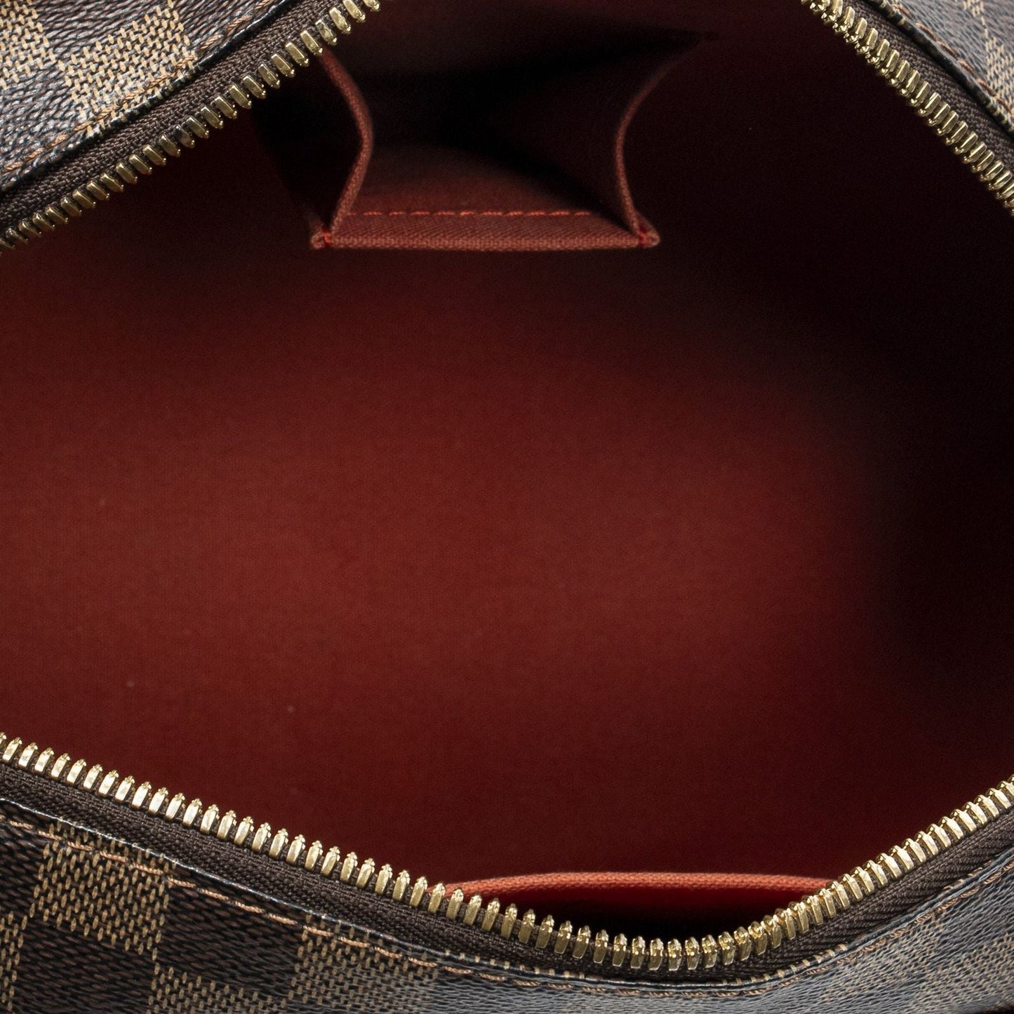 Louis Vuitton Riviera Brown Damier Ebene