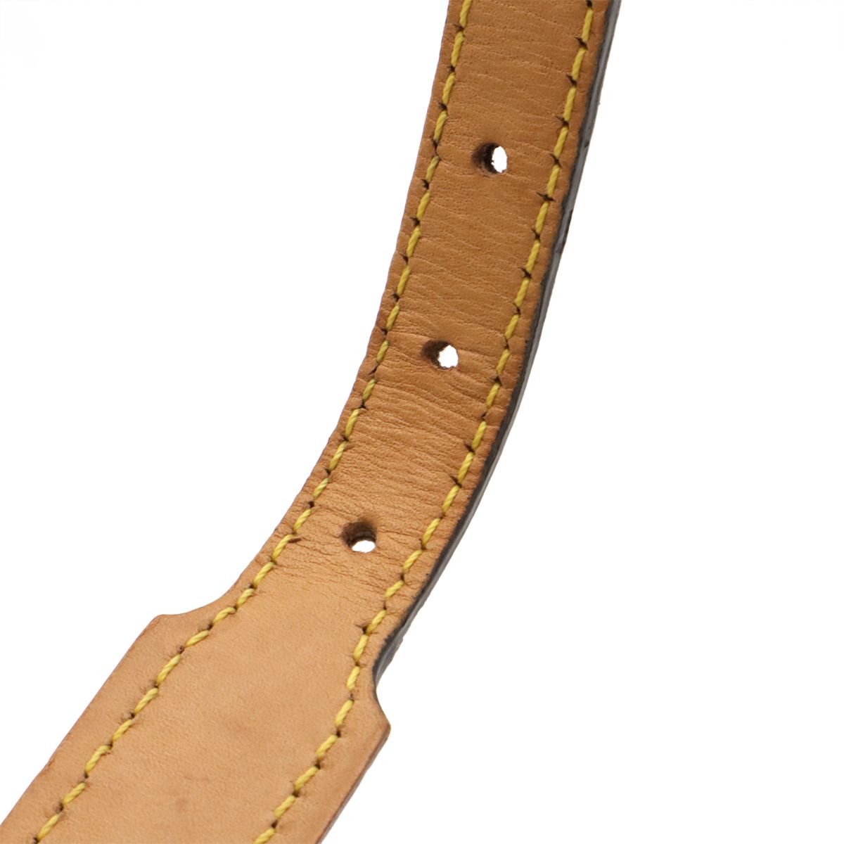 Louis Vuitton Monogram Collier Baxter MM Dog Collar Pet Tag Pet Accessory