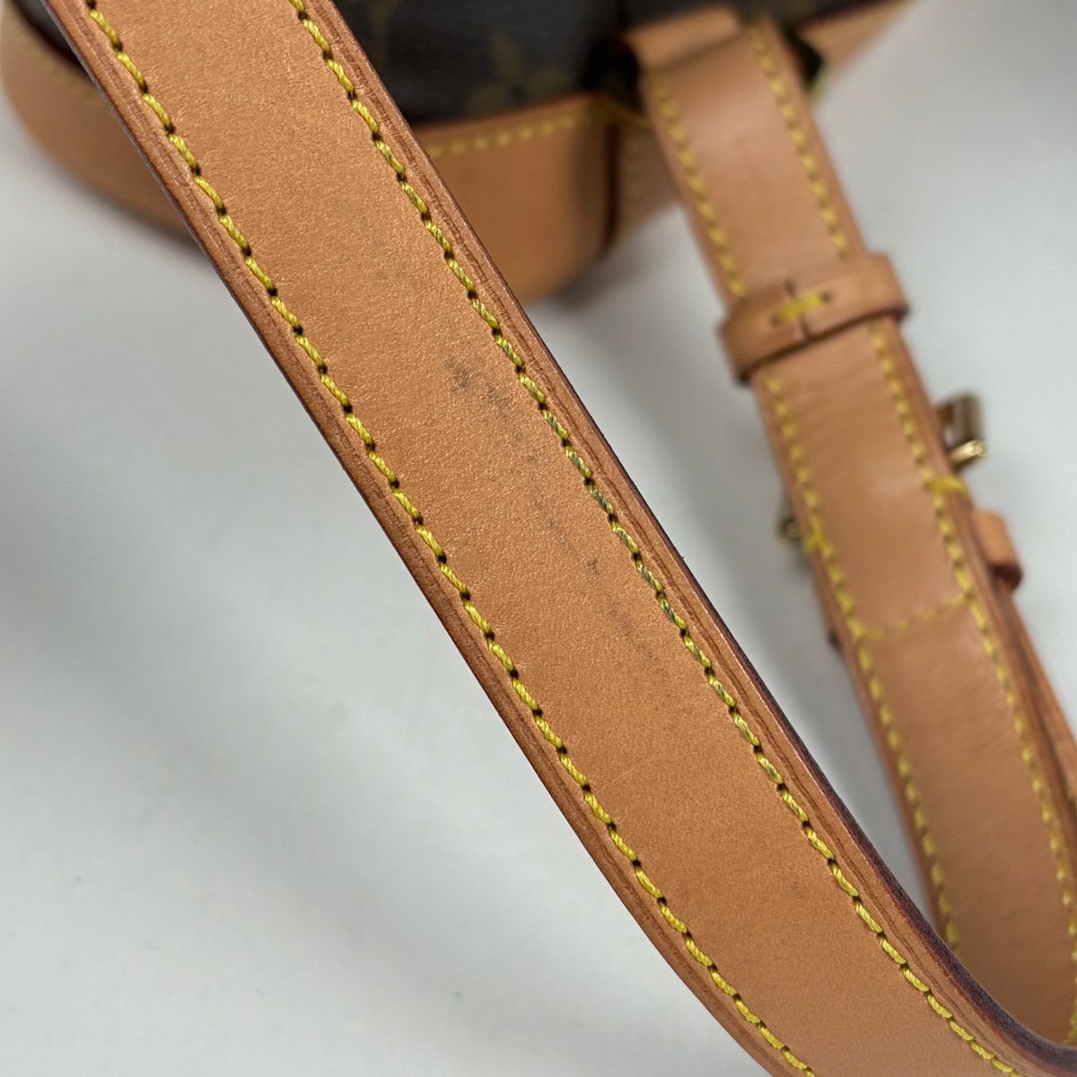 Louis Vuitton Montsouris MM Backpack Monogram Brown