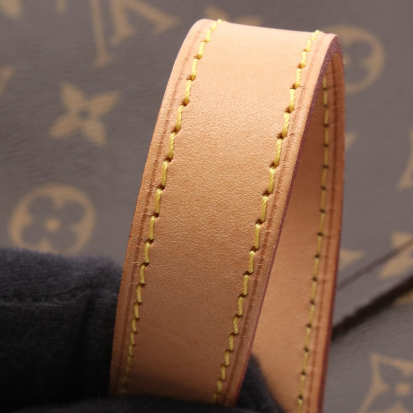 Louis Vuitton Shoulder Bag Odeon PM Canvas Leather