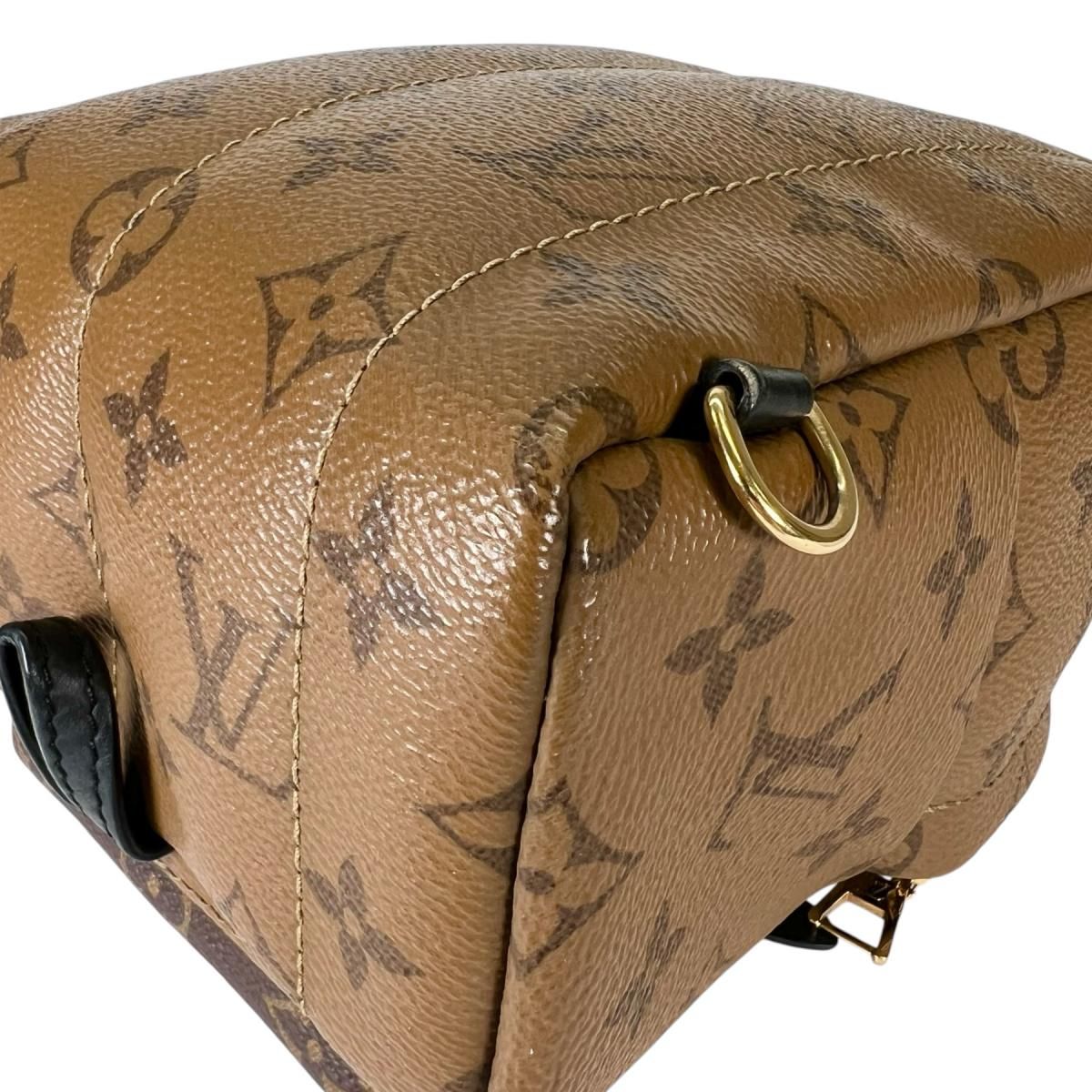 Louis Vuitton Monogram Reverse Mini Palm Springs Backpack Brown