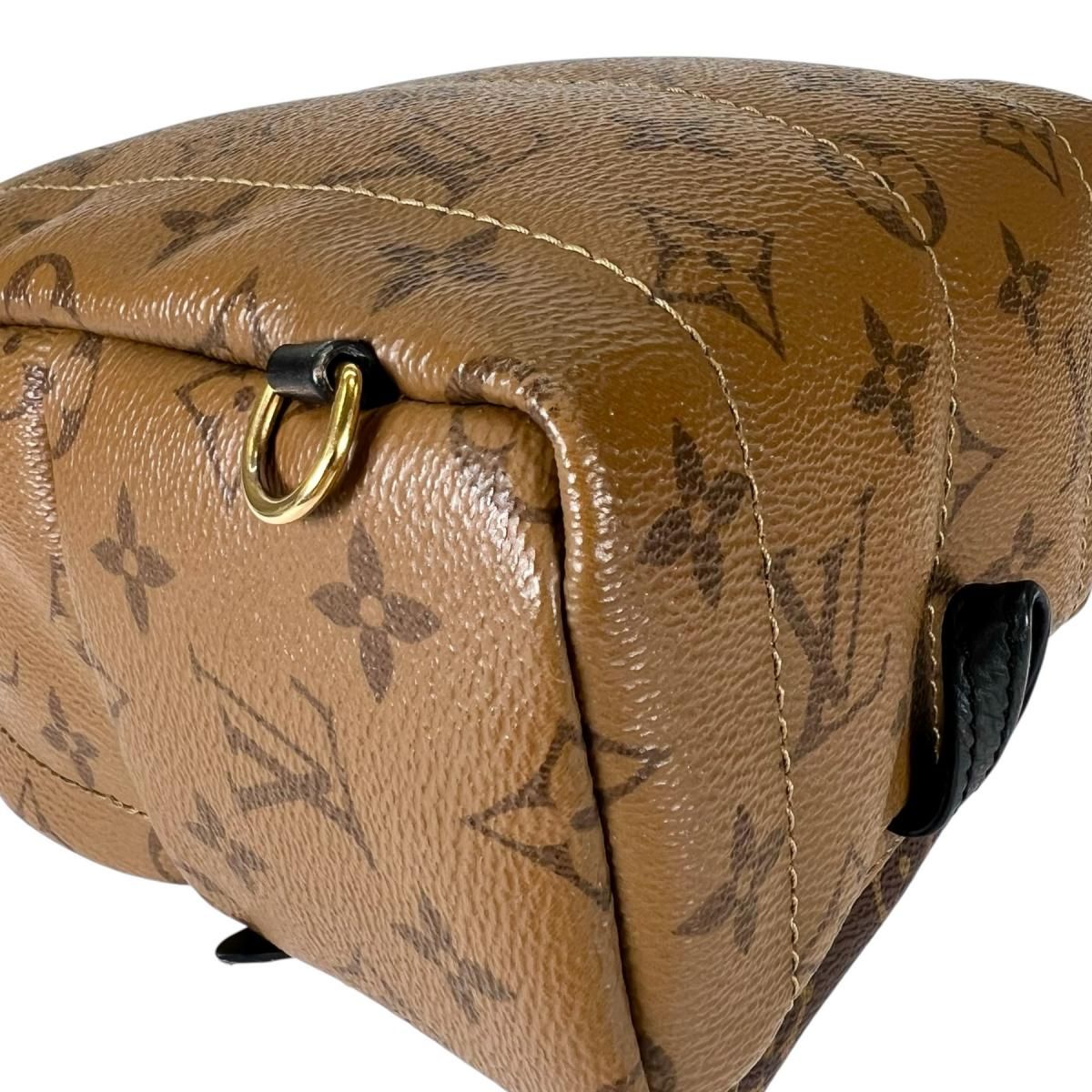 Louis Vuitton Monogram Reverse Mini Palm Springs Backpack Brown