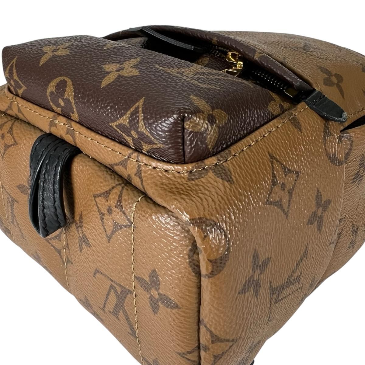 Louis Vuitton Monogram Reverse Mini Palm Springs Backpack Brown