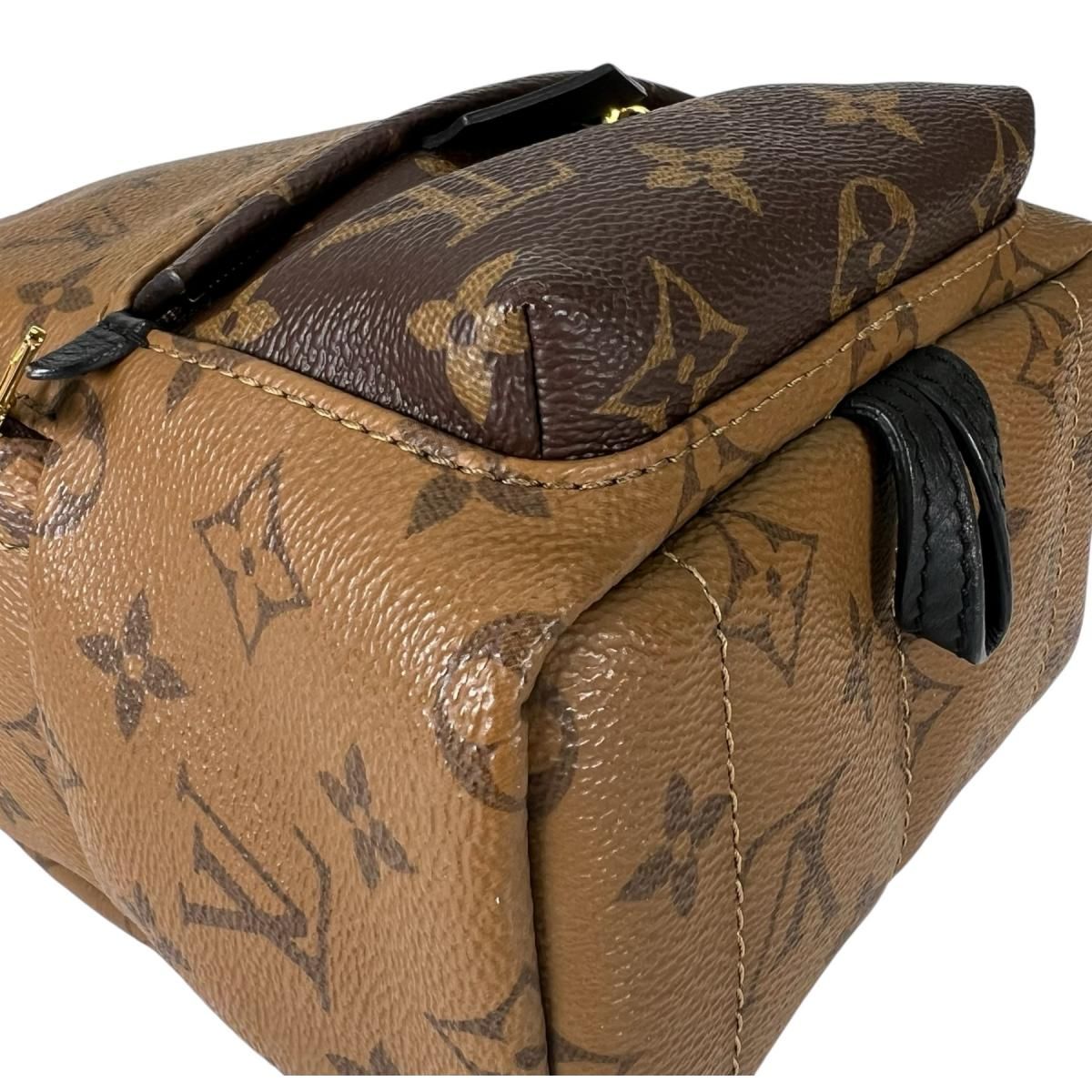 Louis Vuitton Monogram Reverse Mini Palm Springs Backpack Brown