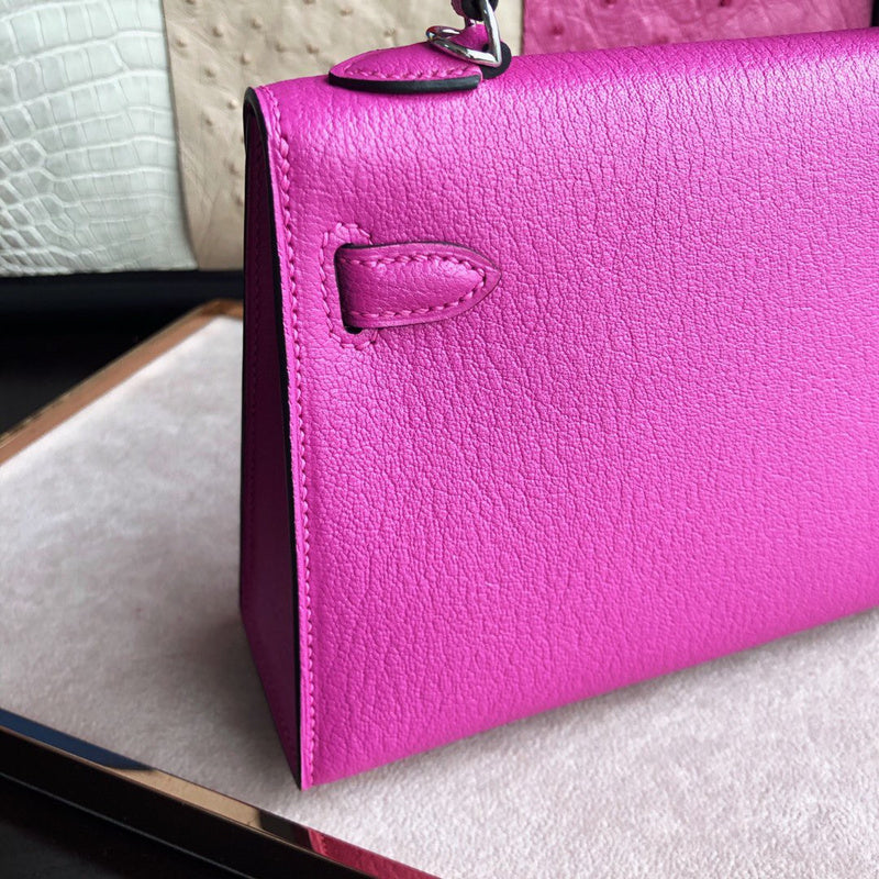 Luxurious Totes - Latest - 6897