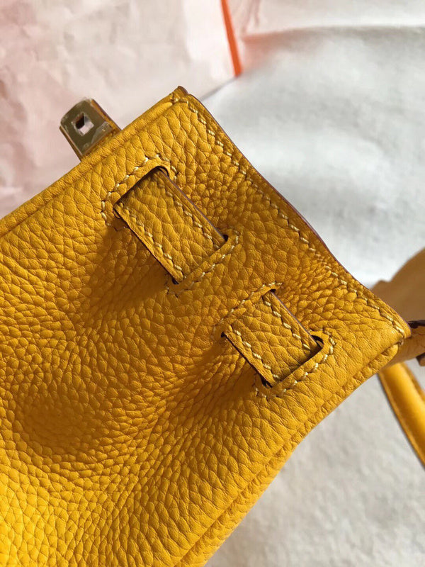 Luxurious Totes - Latest - 6873