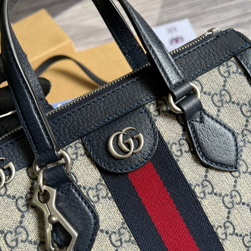 Luxurious Totes - Latest - 3803