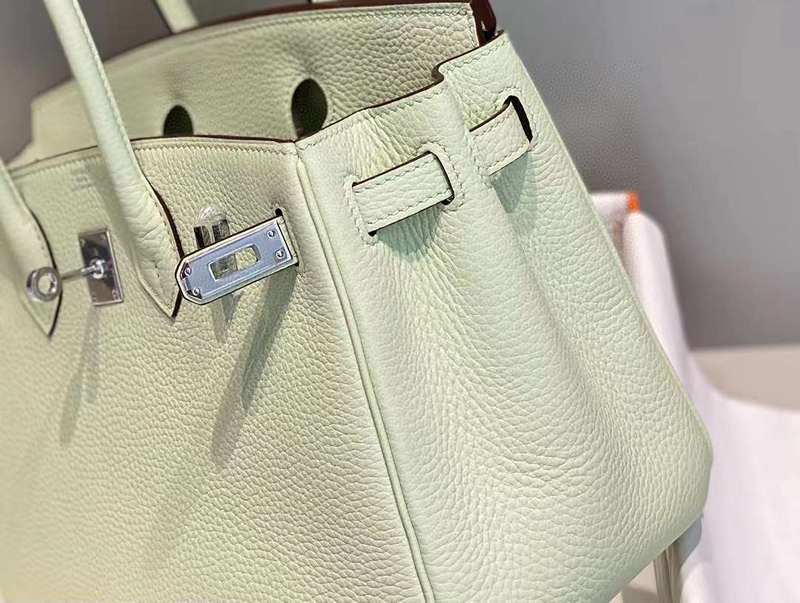 HMS2 Bags - Luxurious Bags  005