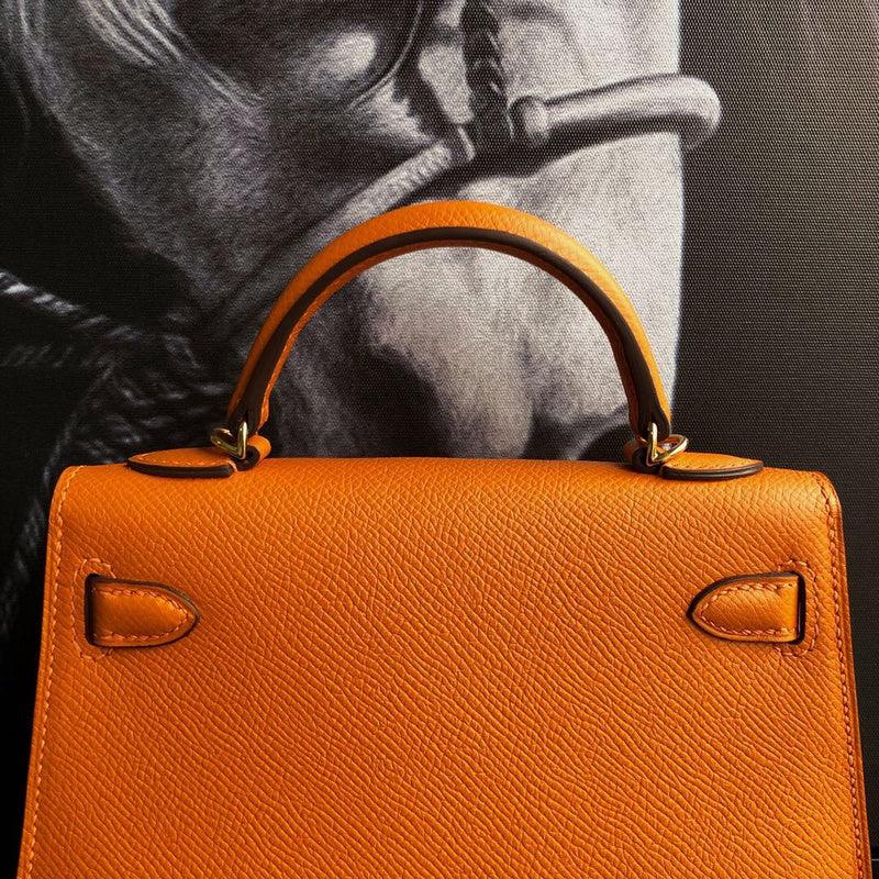 Luxurious Totes - Latest - 6887