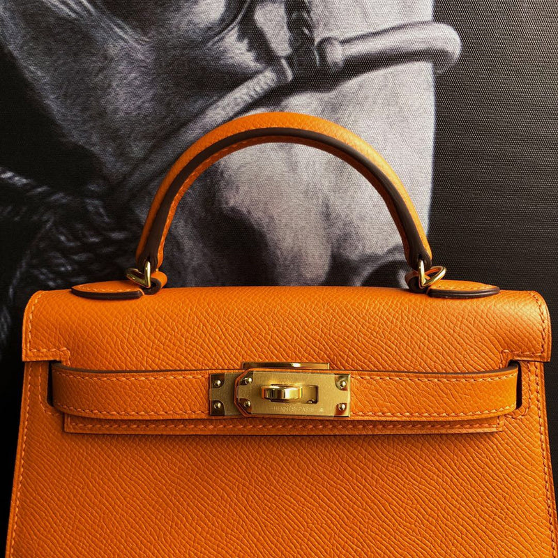Luxurious Totes - Latest - 6887
