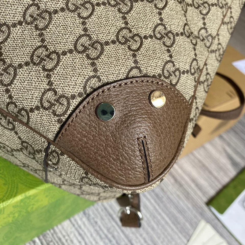 Luxurious Totes - Latest - 3998