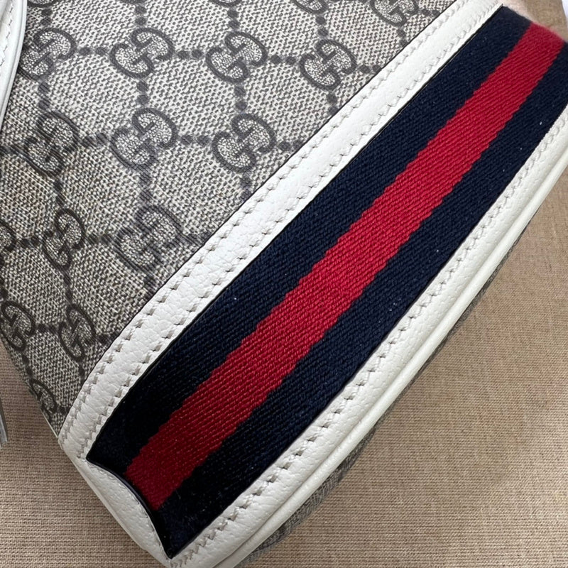 GUI - Luxurious Totes - 1010