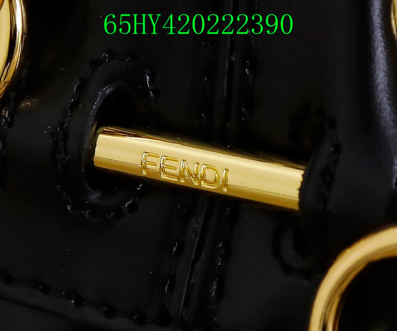 GC - Shoulder - 2878