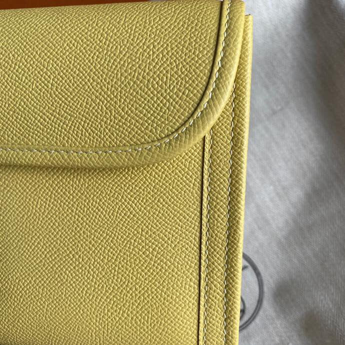 Luxurious Totes - Latest - 6684