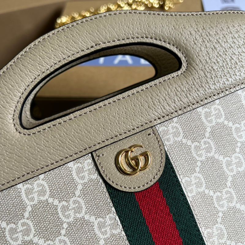 Luxurious Totes - Latest - 3882