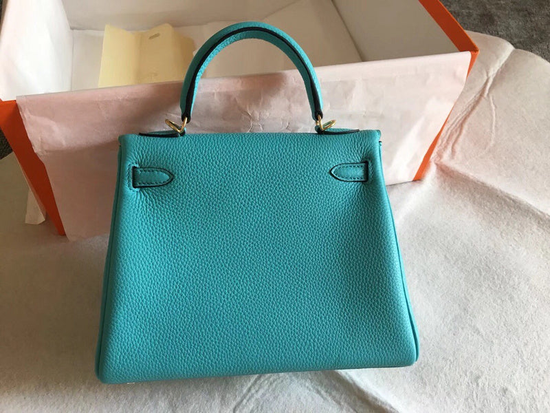 Luxurious Totes - Latest - 6864