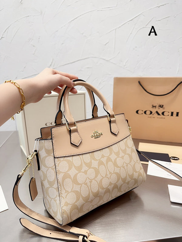 Luxurious Totes - CCH2 Bags - 054