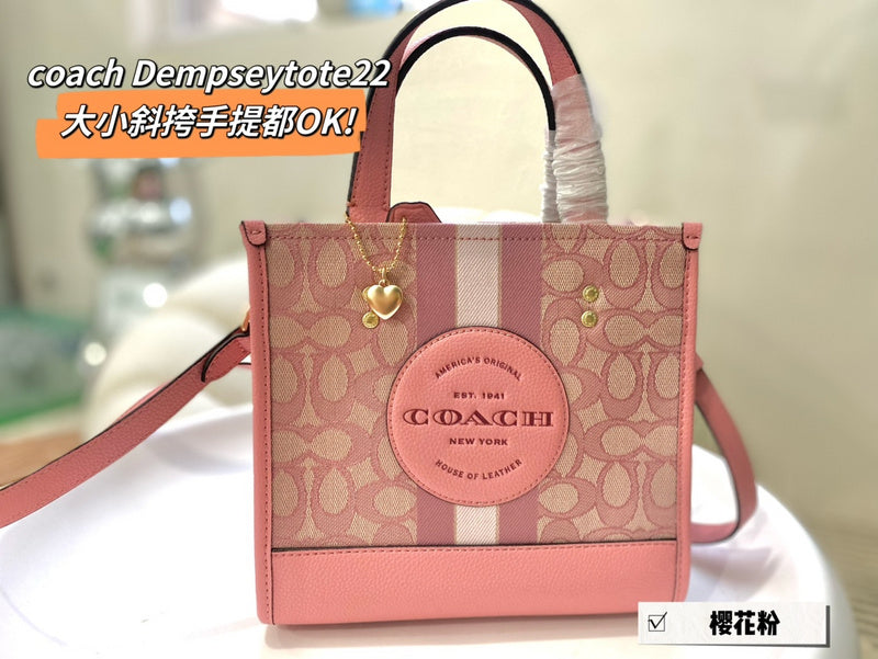 Luxurious Totes - CCH2 Bags - 087