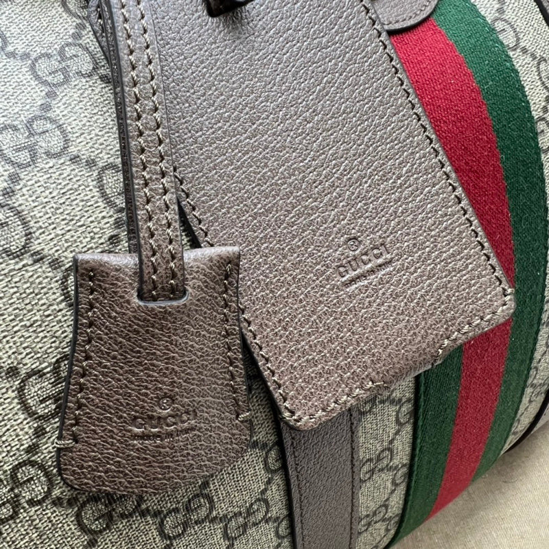 GUI - Luxurious Totes - 404
