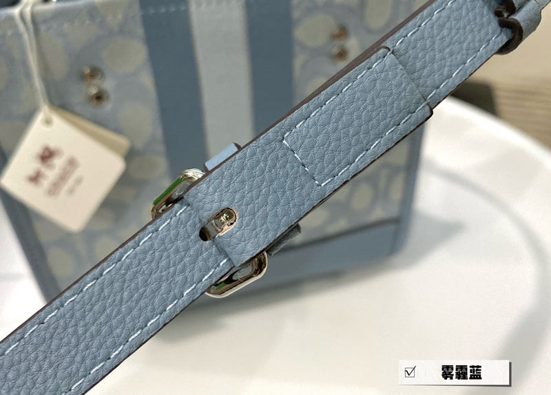 Luxurious Totes - CCH2 Bags - 084