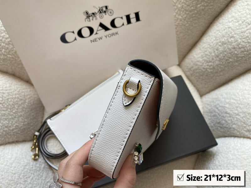 Luxurious Totes - CCH2 Bags - 067