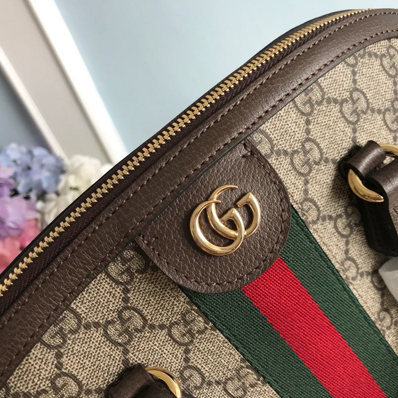 Luxurious Totes - Latest - 9897