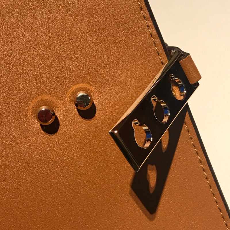Luxurious Totes - Latest - 6081