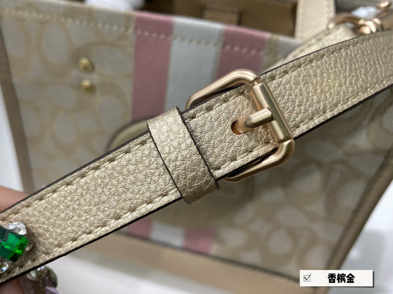 Luxurious Totes - CCH2 Bags - 082
