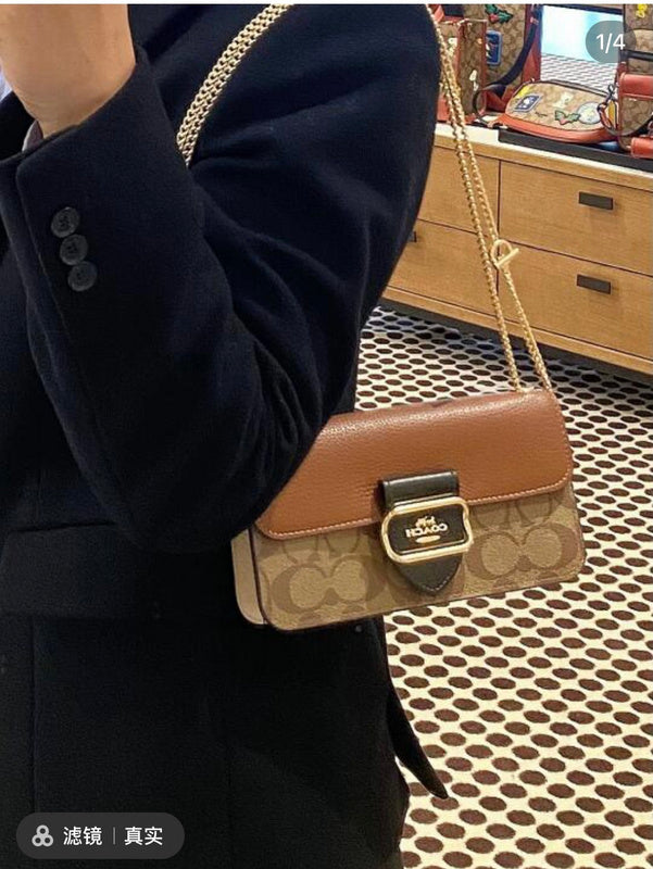 Luxurious Totes - CCH2 Bags - 113
