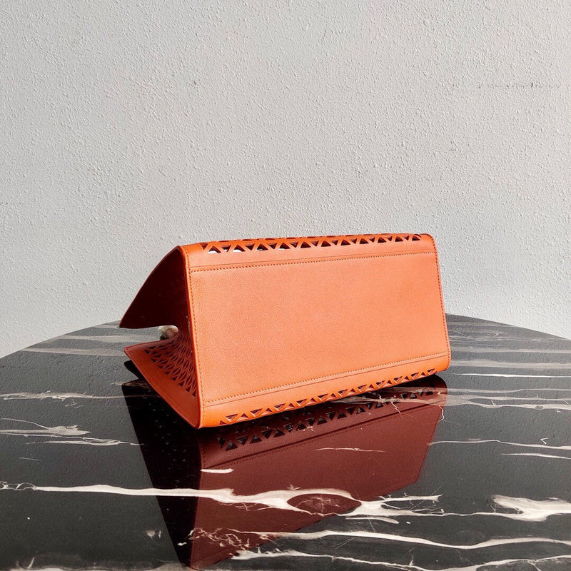 Luxurious Totes - Latest - 4720