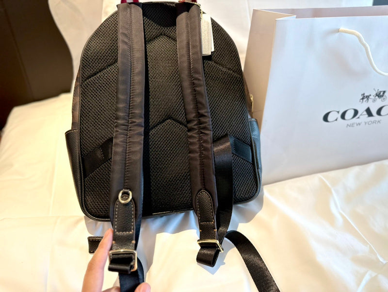 Luxurious Totes - CCH2 Bags - 058