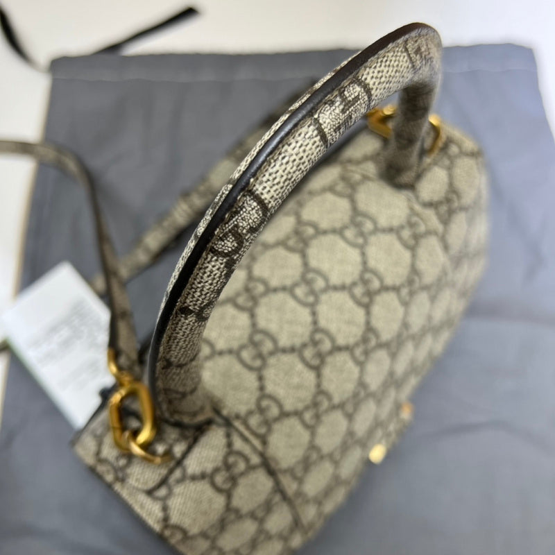 GUI - Luxurious Totes - 1262