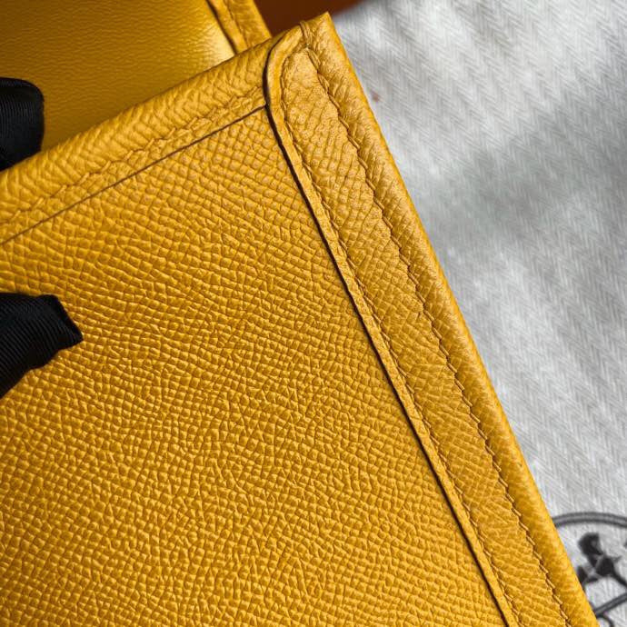 Luxurious Totes - Latest - 6678