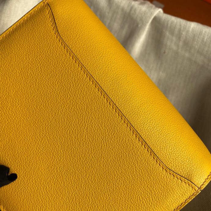 Luxurious Totes - Latest - 6655