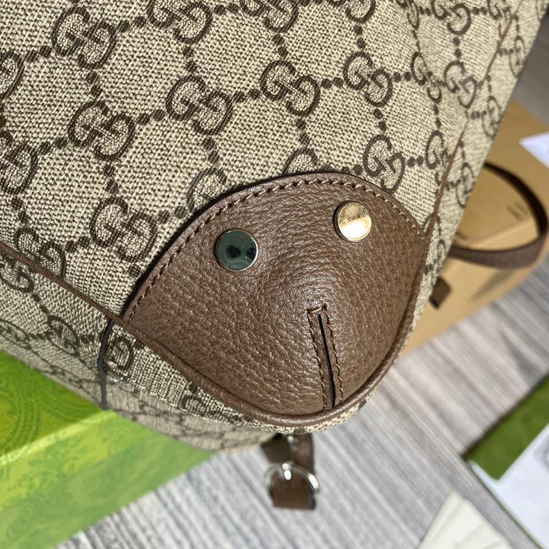 Luxurious Totes - Latest - 3705